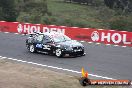 Bathurst 1000 2008 - Bathurst-20081011_0645